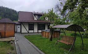 У Насті